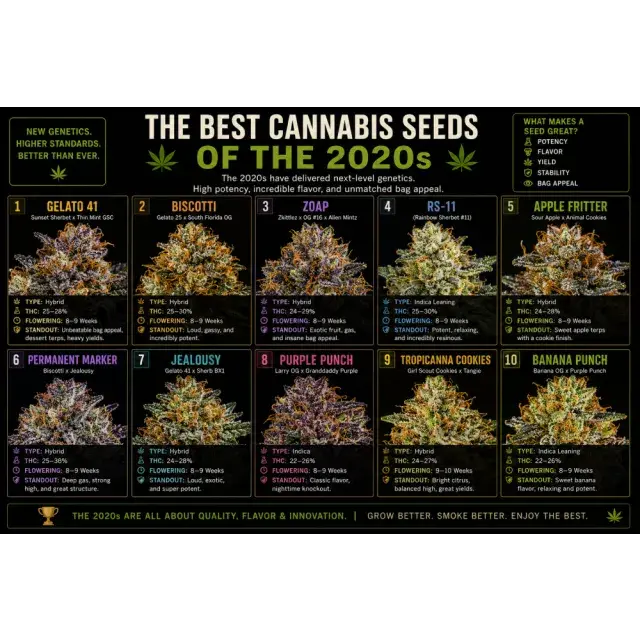 Cannabis Seeds: The Best Cannabis Seeds of the 2020s.