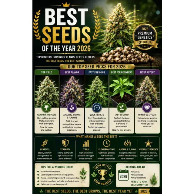 Cannabis Seeds: The Best Cannabis Seeds of the Year 2026.