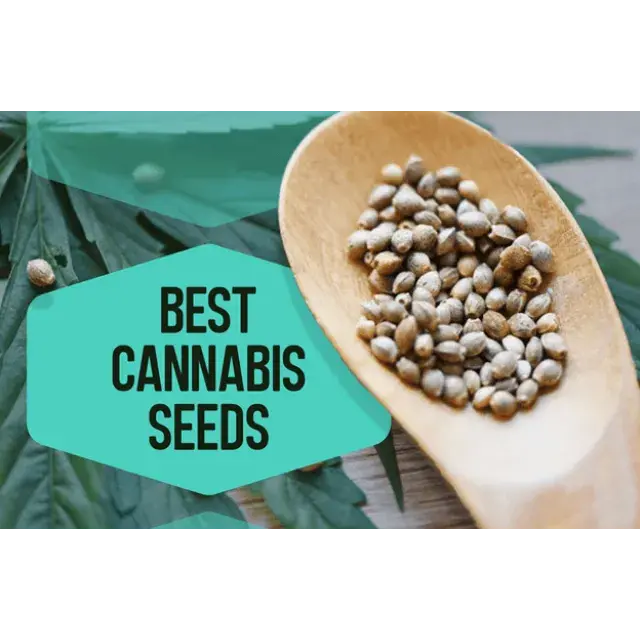 Discount Cannabis Seeds Difference: A Commitment to Excellence Matters for Growers.