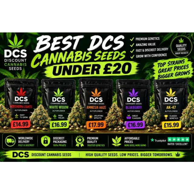 Cannabis Seeds: The Best DCS Cannabis Seeds Under £20.