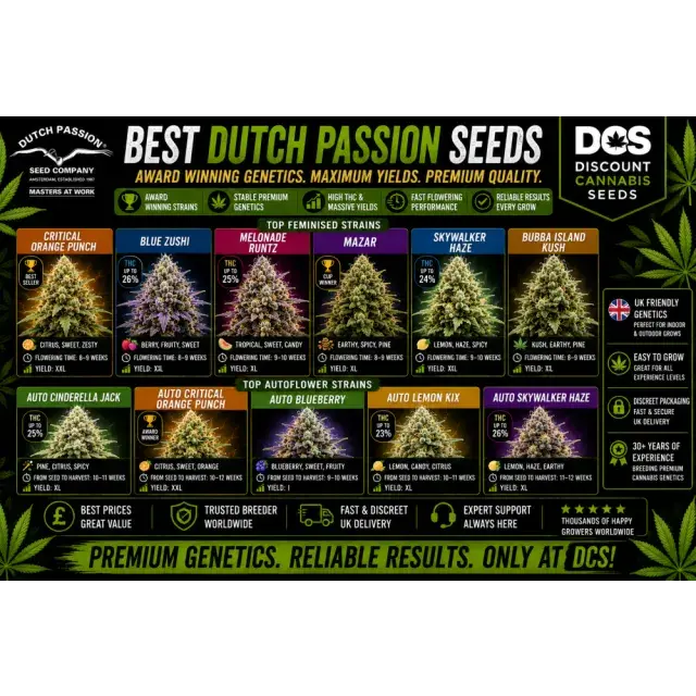 Cannabis Seeds: The Best Dutch Passion Seeds Strains.