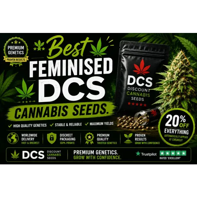 Cannabis Seeds: The Best Feminised DCS Cannabis Seeds.