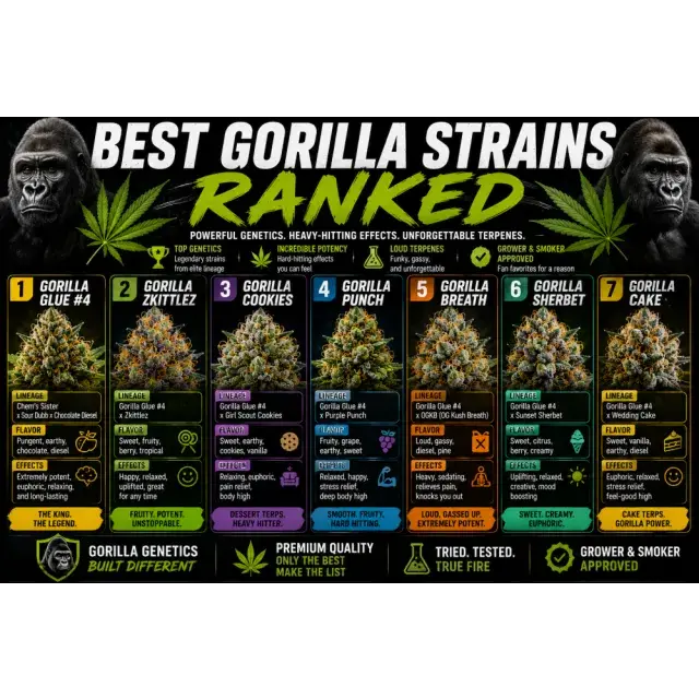 Cannabis Seeds: The Best Gorilla Strains Ranked.