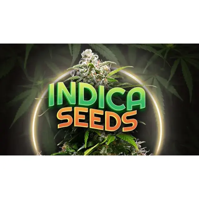 Cannabissamensorten entschlüsseln: Fokus auf Indica-Cannabissamen.