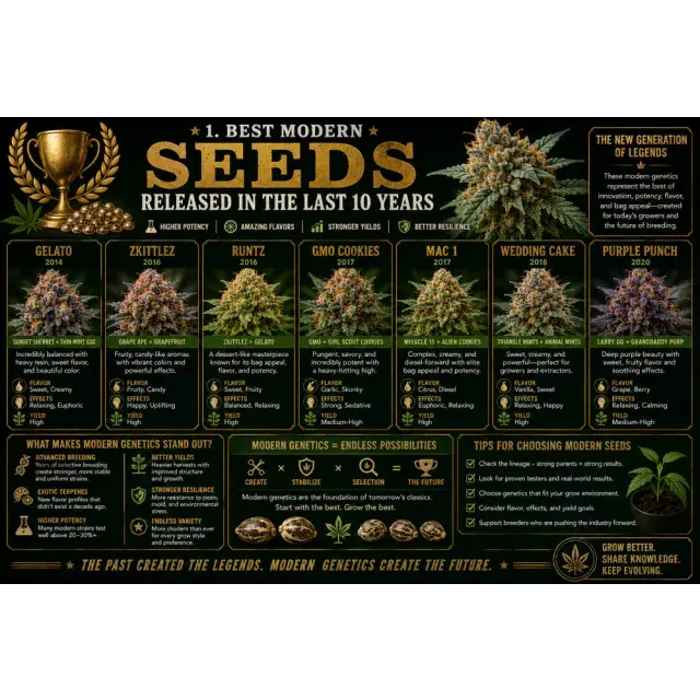 Cannabis Seeds: Best Modern Seeds Released in the Last 10 Years.