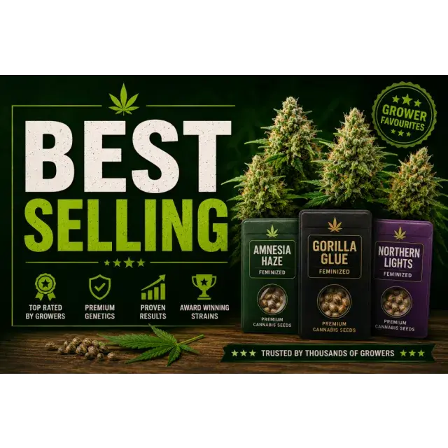 Best Selling Cannabis Seeds Guide. What Growers Are Choosing.