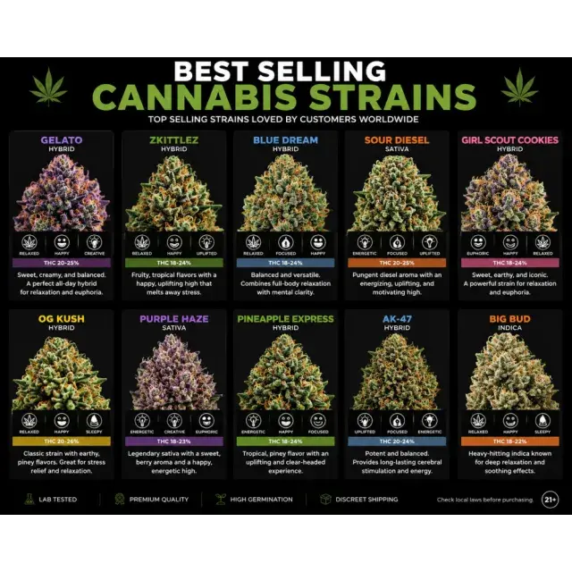 Cannabis Seeds: Best-Selling Cannabis Seeds at Discount Cannabis Seeds
