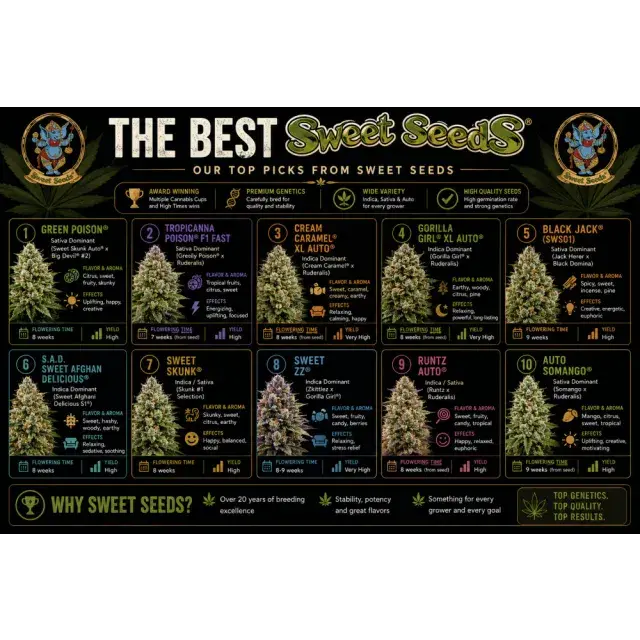 Cannabis Seeds: The Best Sweet Seeds Strains.