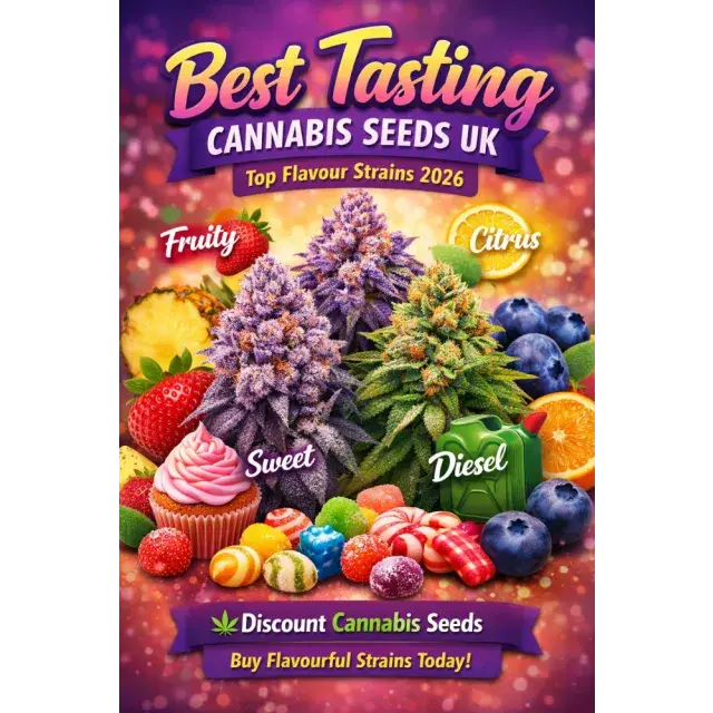 Best Tasting Cannabis Seeds UK (Top Flavour Strains 2026).
