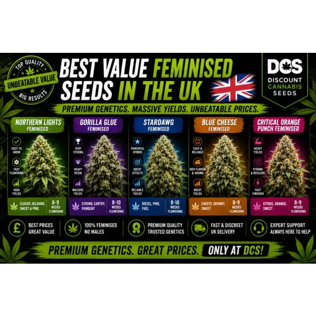 Cannabis Seeds: The Best Value Feminised Seeds in the UK.