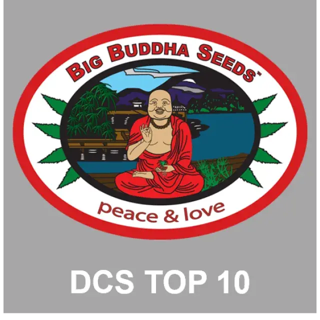 Affordable Prices: Discount Cannabis Seeds from Buddha Seeds.