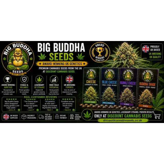 Big Buddha Cannabis Seeds UK (Award-Winning UK Genetics Review 2026).