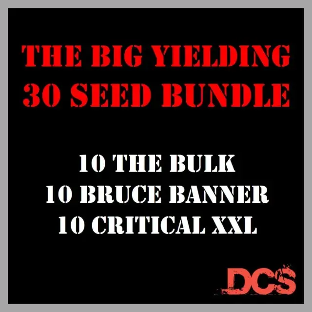 Unlocking Value: 30 Seeds for £60 - Discover What You Get and Why It's Worth Every Penny at Discount Cannabis Seeds.