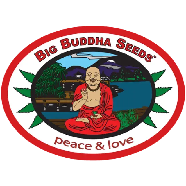 Big Buddha Cannabis Seeds | Discount Cannabis Seeds