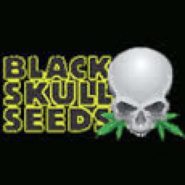 Black Skull Seeds | Discount Cannabis Seeds