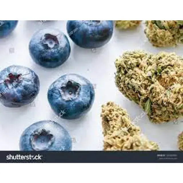 An Overview of Blueberry Cannabis Seeds from Discount Cannabis Seeds.