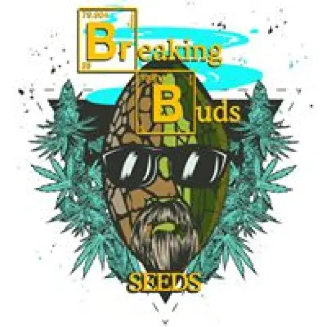Breaking Buds Feminised Cannabis Seeds | Discount Cannabis Seeds