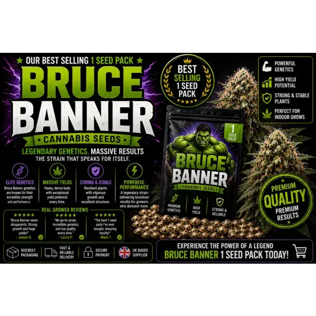 Bruce Banner Cannabis Seeds  (Best Selling Single Seed Pack 2026).