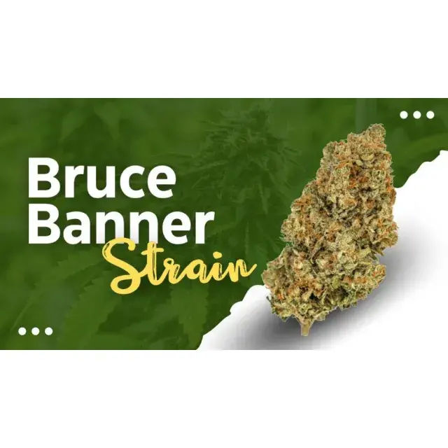 Bruce Banner and the Science of  Cannabis Seeds Genetics:.