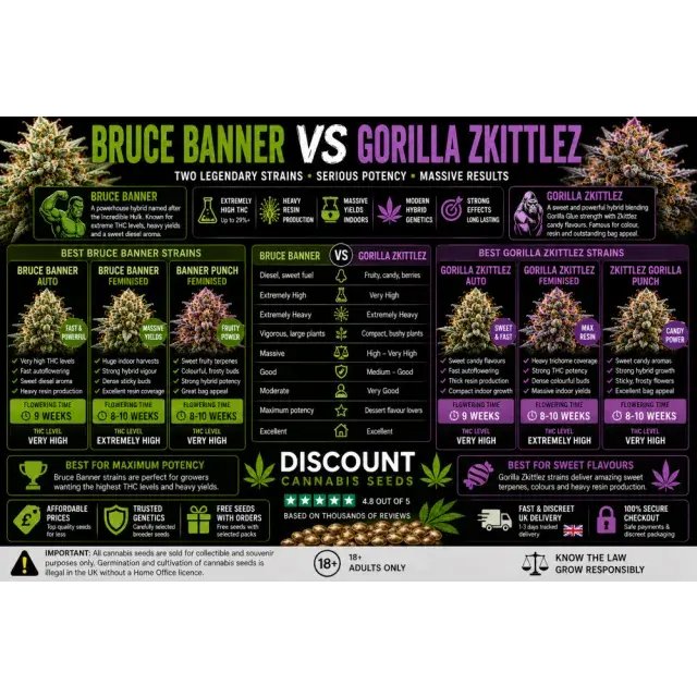 Cannabis Seeds: Bruce Banner VS Gorilla Zkittlez Strains.