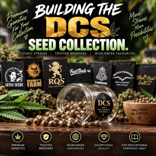 Cannabis Seeds: Building the DCS Cannabis Seeds Collection.