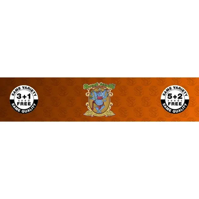 Sweet Seeds - Discount Cannabis Seeds
