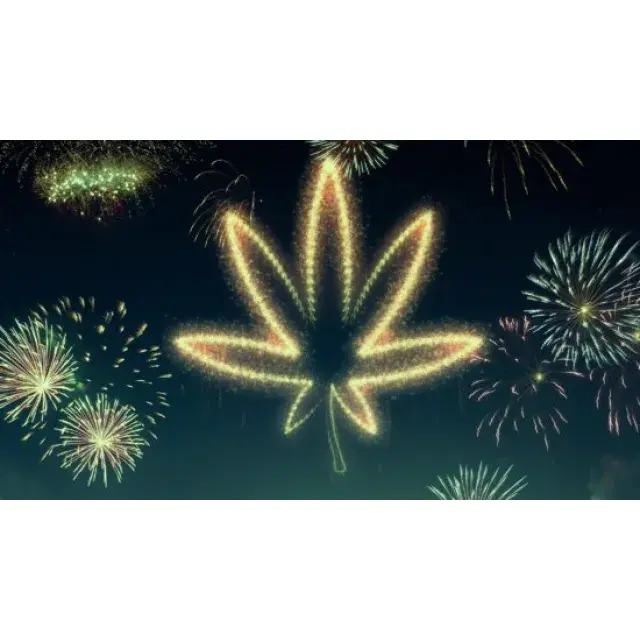 What to Expect After Ordering Cannabis Seeds Online in the UK.
