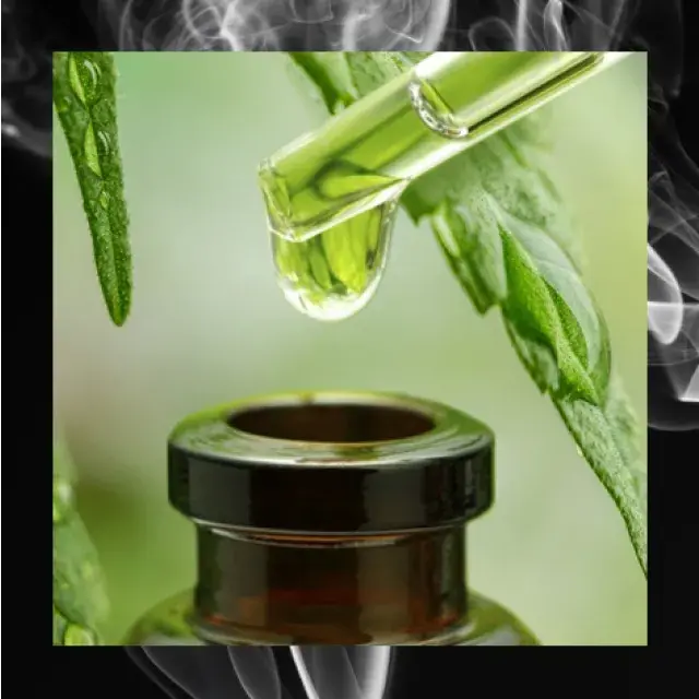 CBD - Frequently Asked Questions Discount Cannabis Seeds