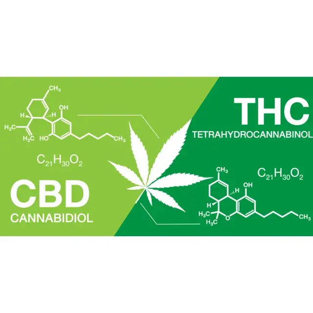 Mastering THC and CBD Cannabis Seeds Levels.