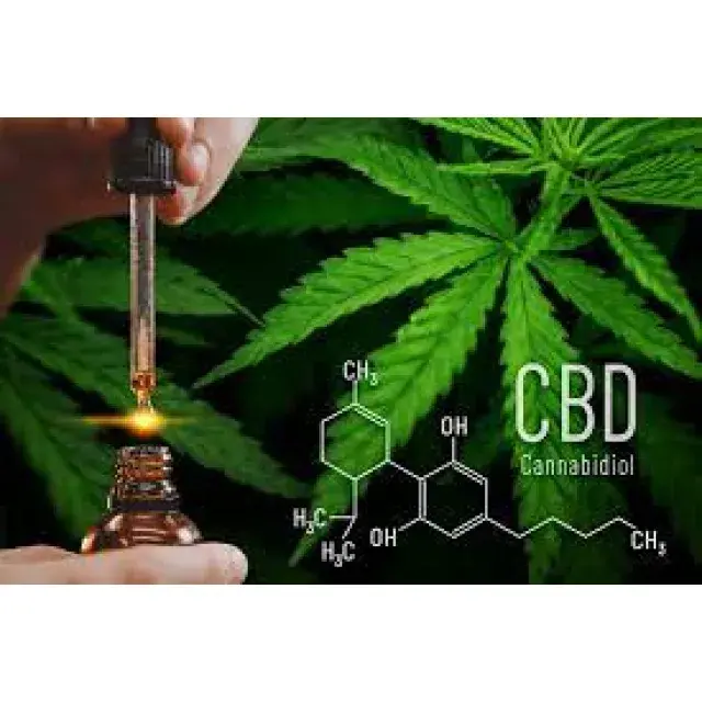 Unlocking the Benefits of CBD Cannabis Seeds in the UK.