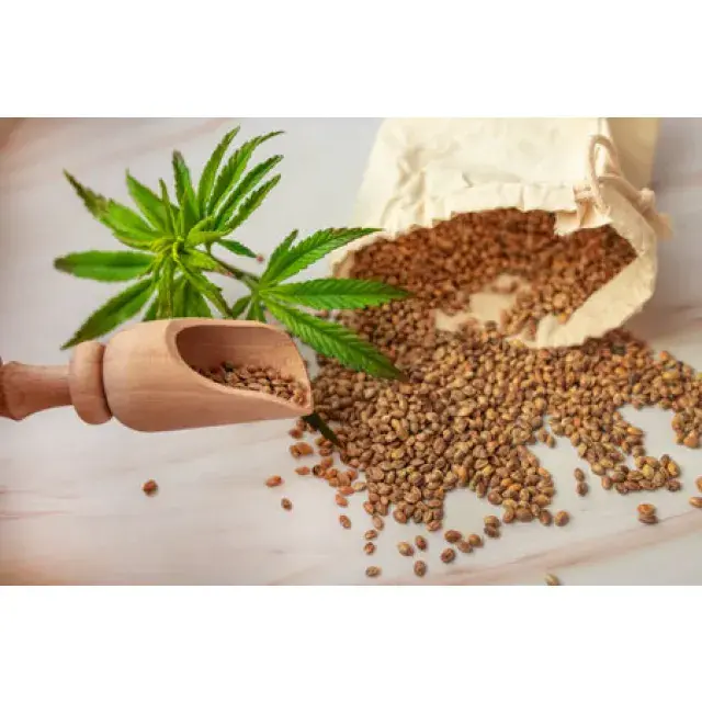 CBD Cannabis Seeds: Your Guide to Finding the Perfect Strain.