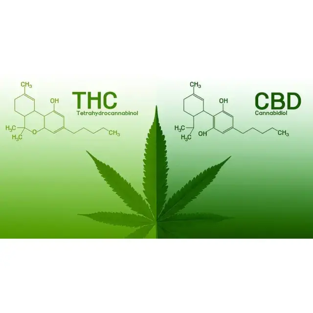 How to Select the Perfect CBD Cannabis Seeds Strain.