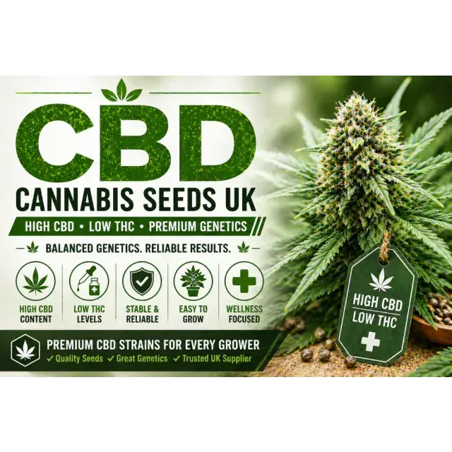 CBD Cannabis Seeds UK (Low THC High CBD Guide 2026).