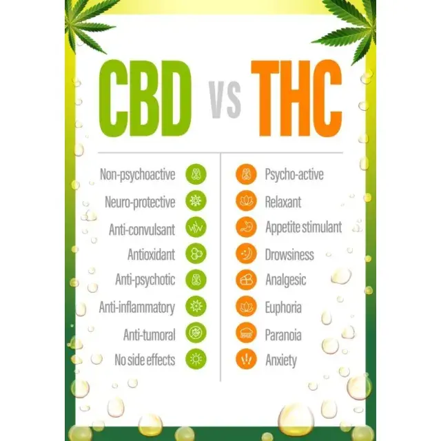 How to Read Cannabis Seeds Descriptions: THC And CBD Seeds.