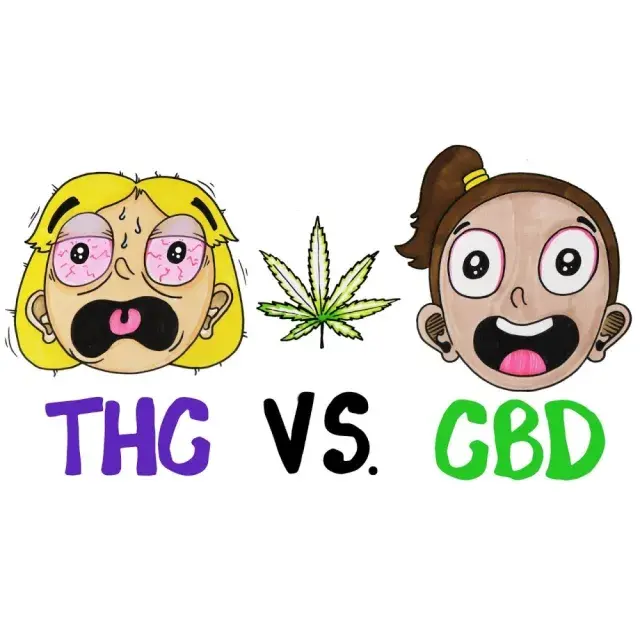 THC vs CBD: Understanding the Science Behind Cannabis Seeds.