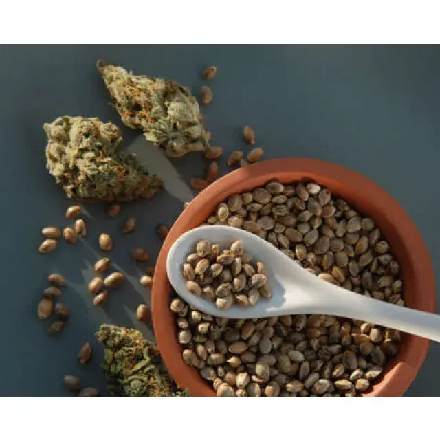  Finding the Perfect CBD Cannabis Seeds at Discount Cannabis Seeds