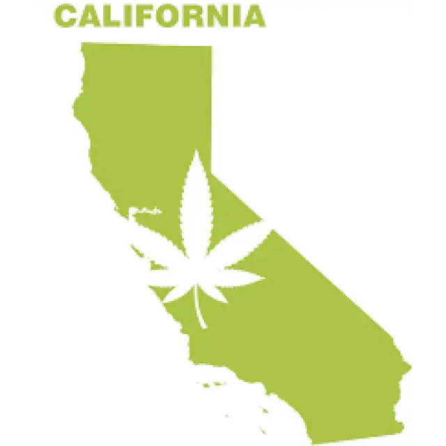 Cannabis Seeds - California legalises cannabis – The UK Next?