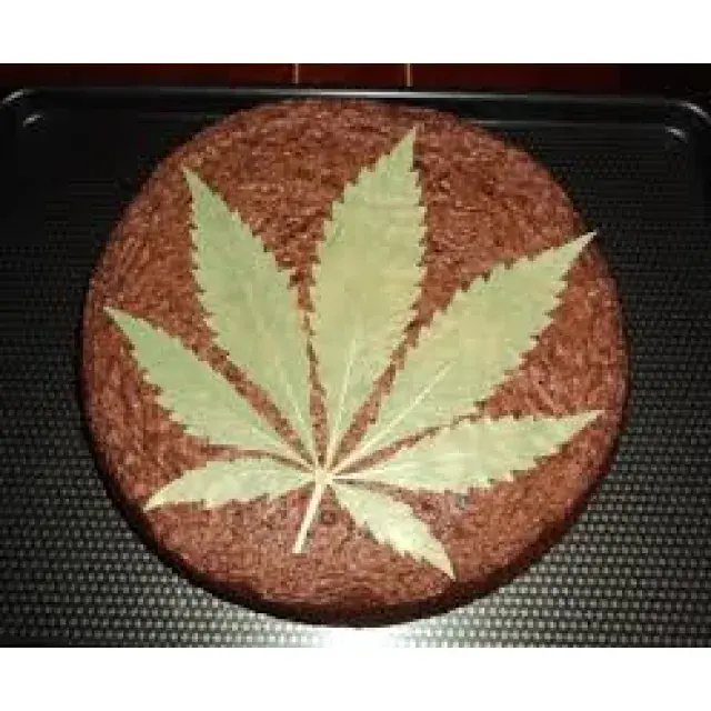 Cannabis Seeds - Let’s Eat & Drink – Discount Cannabis Seeds]