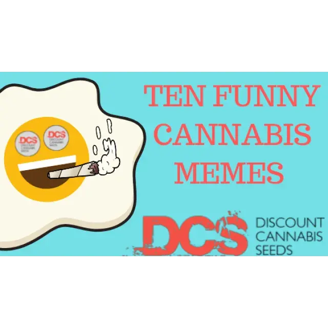Cannabis Memes - Discount Cannabis Seeds