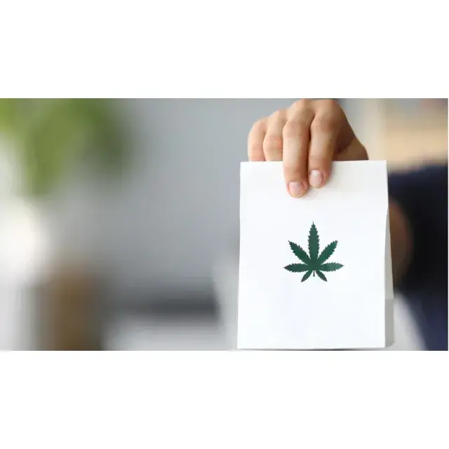 The Top Reasons Why Our Cannabis Seeds Outshine the Competition.