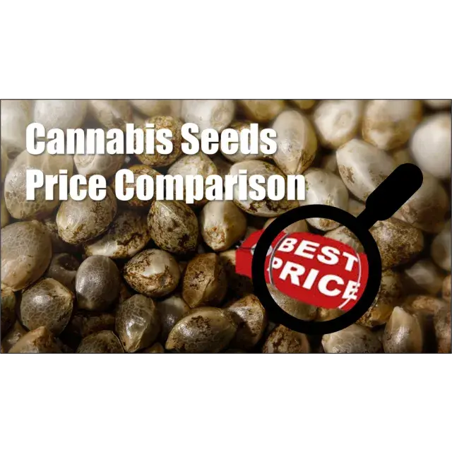 Cannabis Seeds Price Comparison