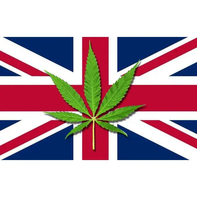 Cannabis Seeds UK Law - Discount Cannabis Seeds