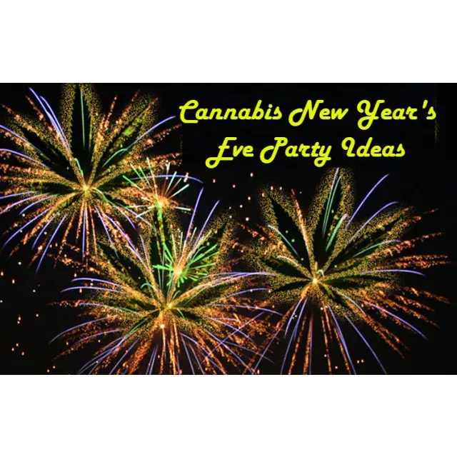 2024: A New Start and New Grow at Discount Cannabis Seeds