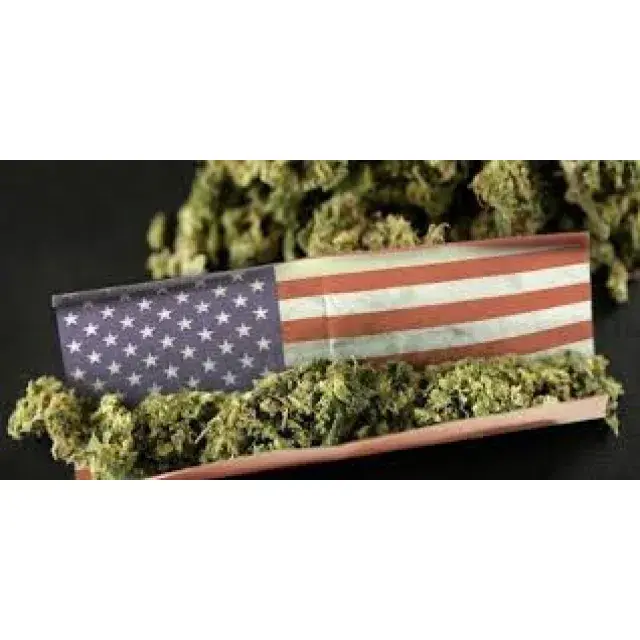 Cannabis Seeds for the USA - Discount Cannabis Seeds.