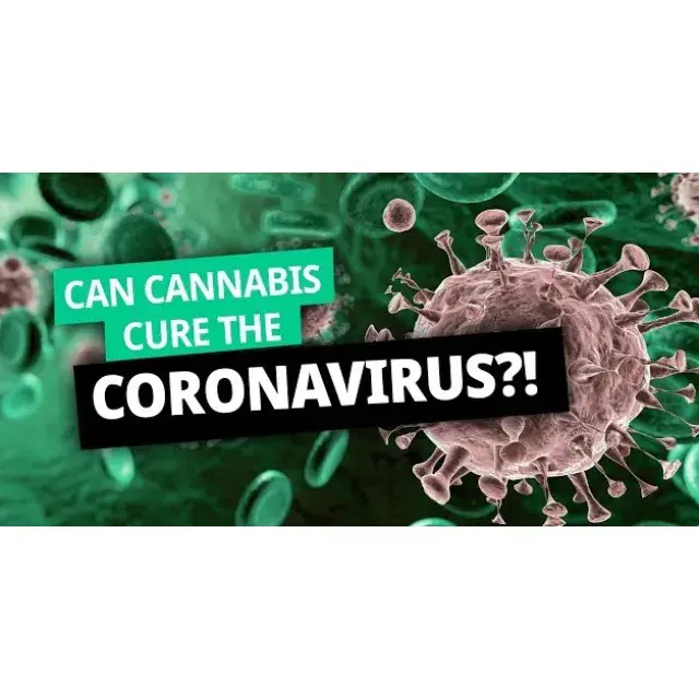 Coronavirus - Discount Cannabis Seeds