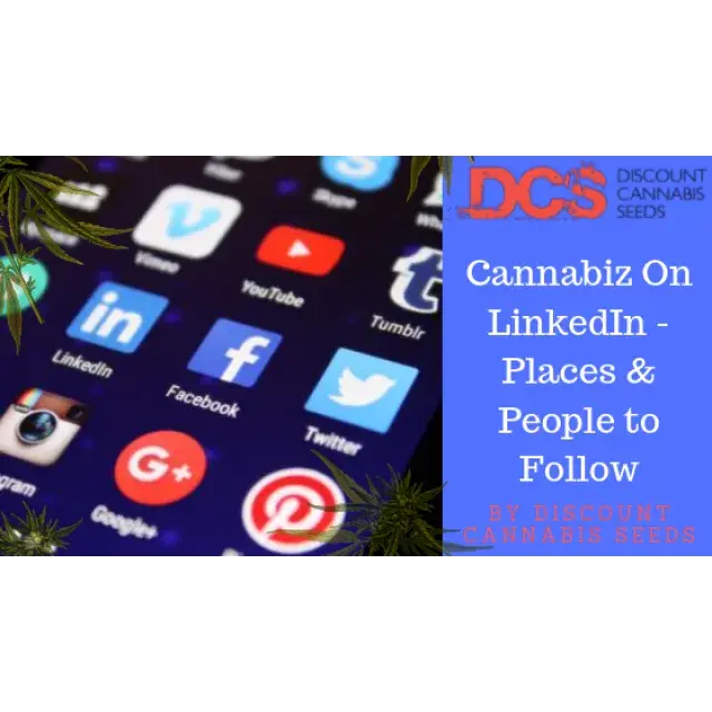 Cannabis on LinkedIn - Discount Cannabis Seeds