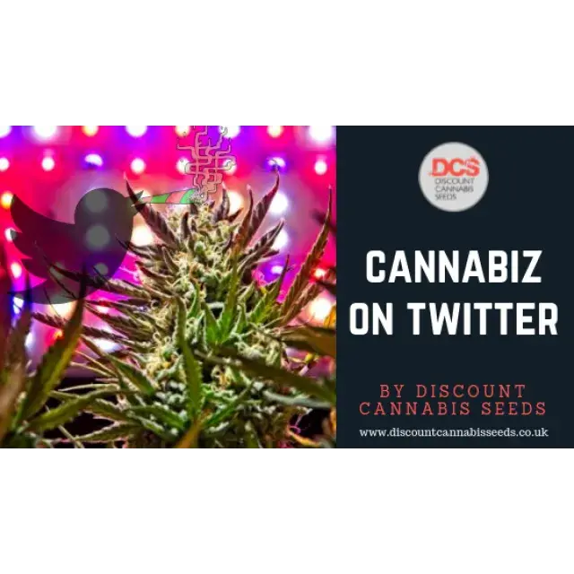 Cannabis on Twitter - Discount Cannabis Seeds