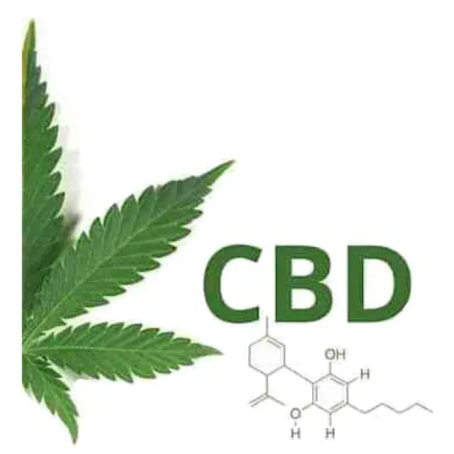 CBD Cannabis Seeds: A Guide by Discount Cannabis Seeds
