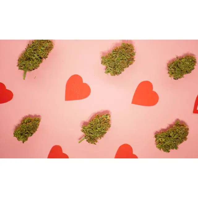 Cultivating Love: Essential Tips for Choosing the Right Cannabis Seeds.