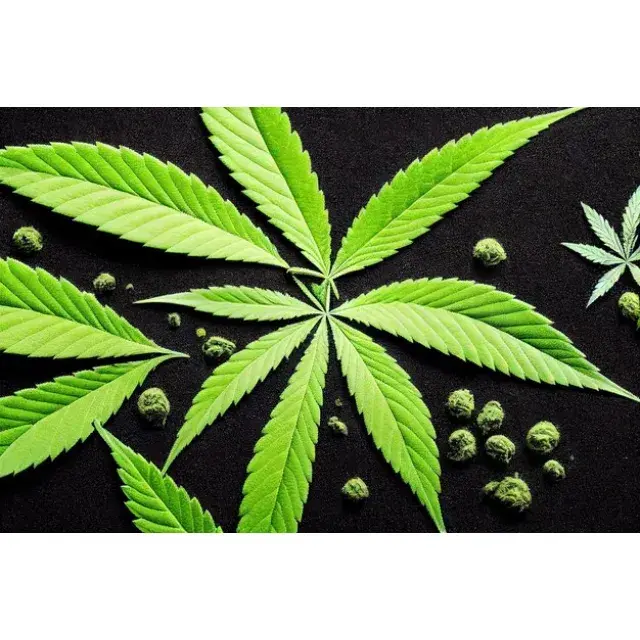 Browsing to Delivery: Shopping Experience at Discount Cannabis Seeds.